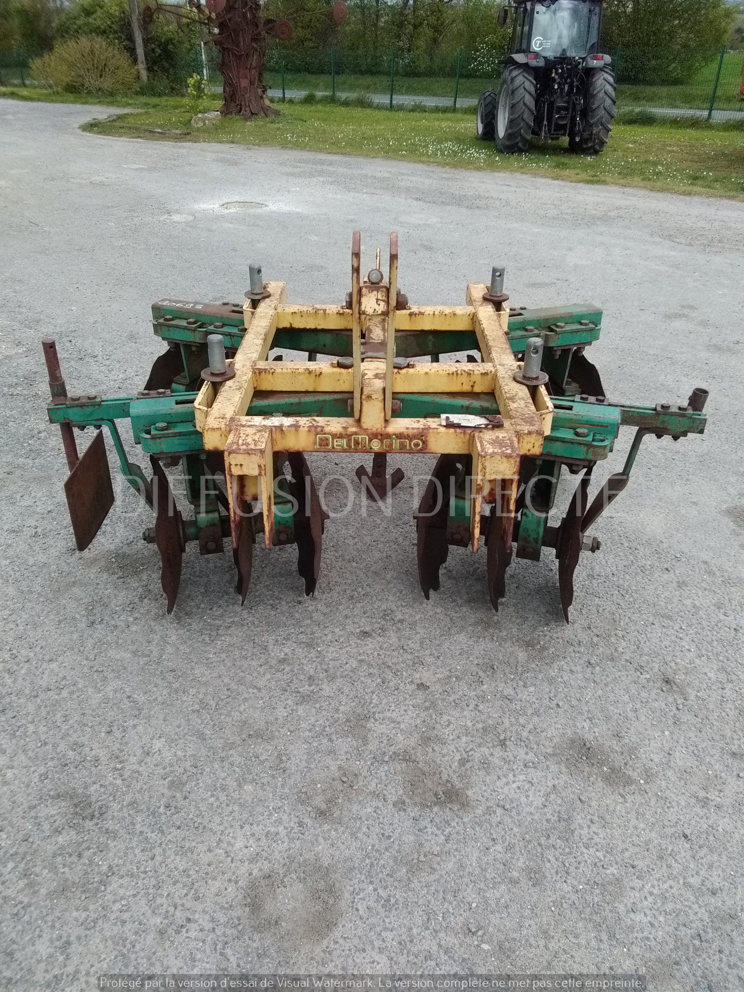 DEL MORINO COVER CROP 12 D Cover Crop