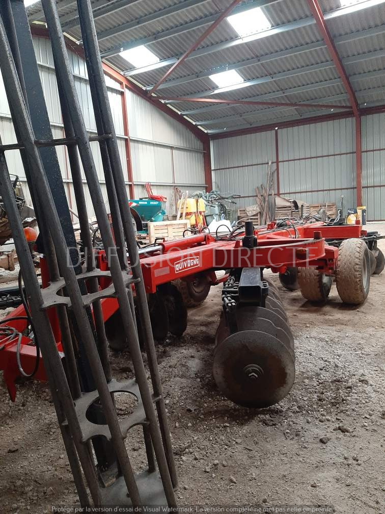 QUIVOGNE COVER CROP MD 36 Cover Crop