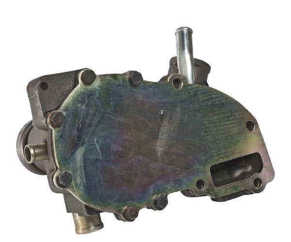 SAME Pompe à eau serie DIAMOND, LASER, RUBIN, SILVER et TITAN Pompe à eau