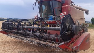 CASE IH MOISSONNEUSE BATTEUSE 2388 X-CLUSIVE Moissonneuse Batteuse - Ensileuse