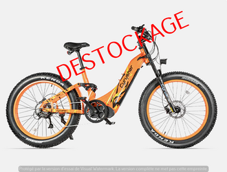 CYRUSHER CYRUSHER VELO ELECTRIQUE TRAX Vélos avec accessoires